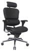 Ergohuman Mesh Task Chairs
