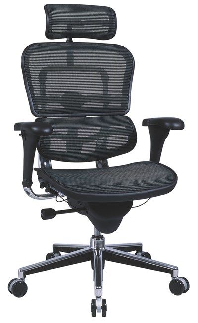 Ergohuman Elite 2010 Mesh Ergonomic Chair with Headrest