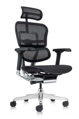 Ergohuman Elite 2023 Mesh Ergonomic Chair with Headrest