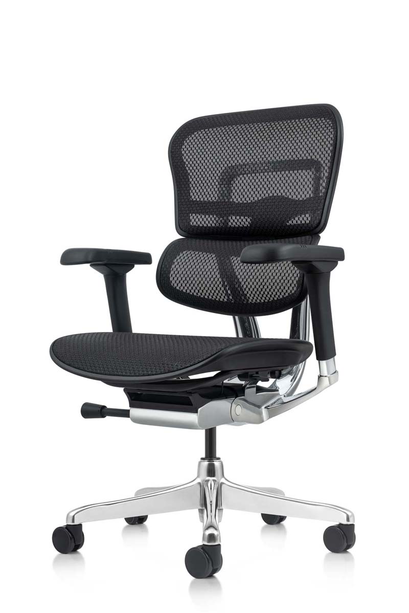 Ergohuman Elite 2023 Mesh Ergonomic Chair without Headrest
