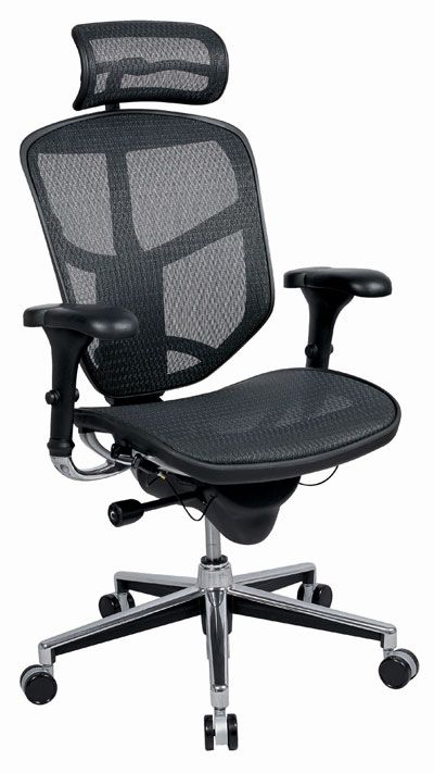 Enjoy 2010 Ergonomic Mesh Desk Chair with Headrest