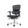 Ergohuman Elite 2023 Mesh Ergonomic Chair without Headrest - view 1