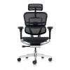 Ergohuman Elite 2023 Mesh Ergonomic Chair with Headrest - view 2