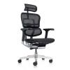 Ergohuman Elite 2023 Mesh Ergonomic Chair with Headrest - view 1