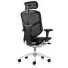Enjoy Elite 2023 Mesh Ergonomic Chair with Headrest - view 4