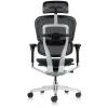 Ergohuman Elite 2023 Mesh Ergonomic Chair with Headrest - view 4