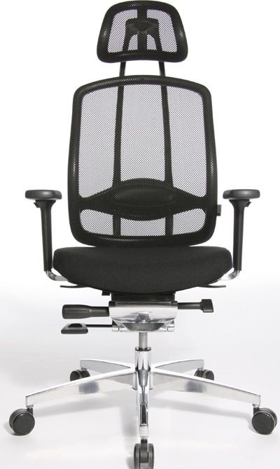 Alumedic 3D Ergonomic Chair, Headrest, Mesh Back, Fabric Seat