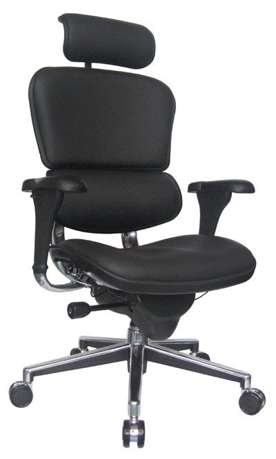 Ergohuman Elite 2010 Leather Ergonomic Chair with Headrest