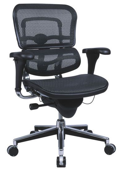 Ergohuman Elite 2010 Mesh Ergonomic Chair without Headrest