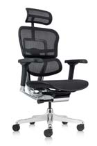 Ergohuman Mesh Task Chairs