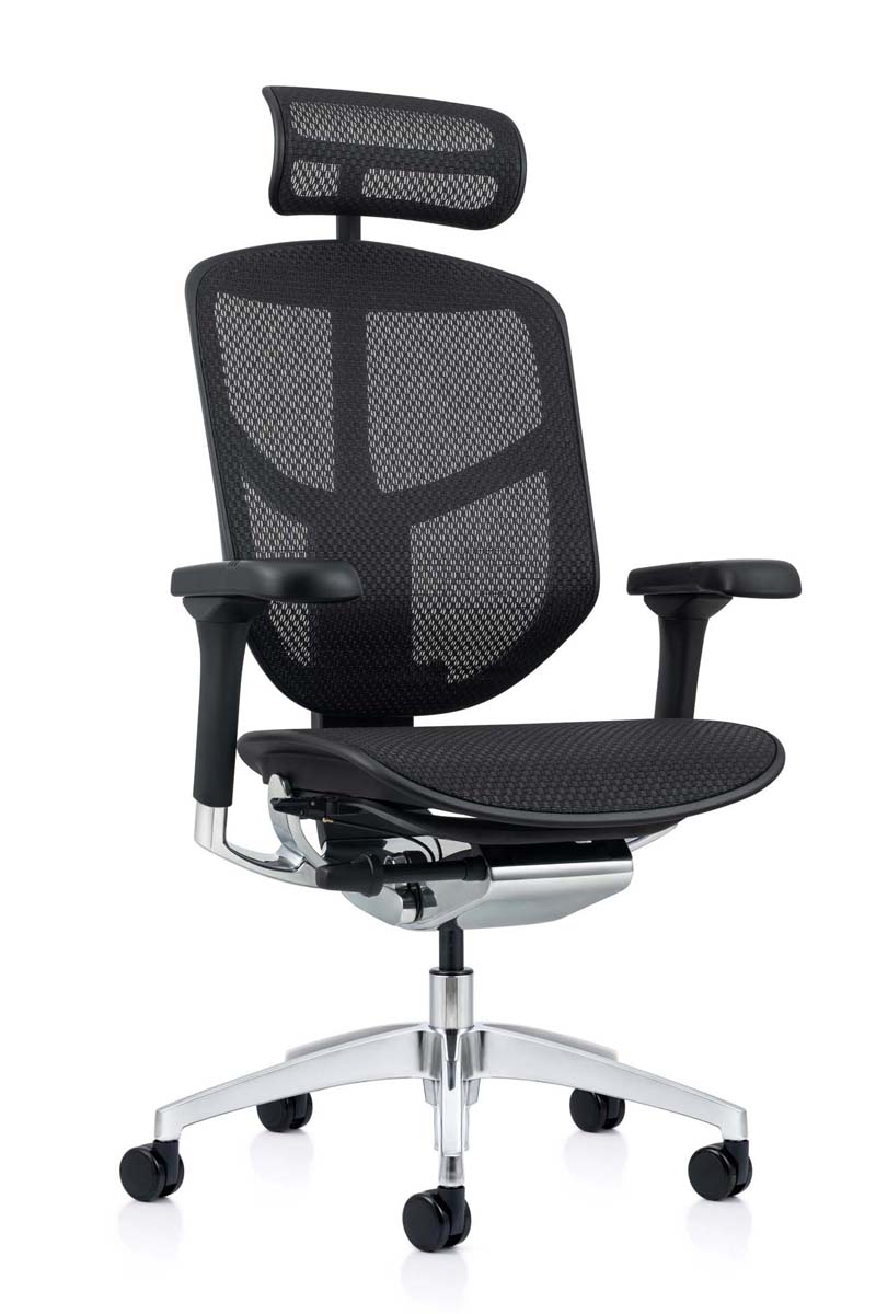 Enjoy Elite 2023 Mesh Ergonomic Chair with Headrest