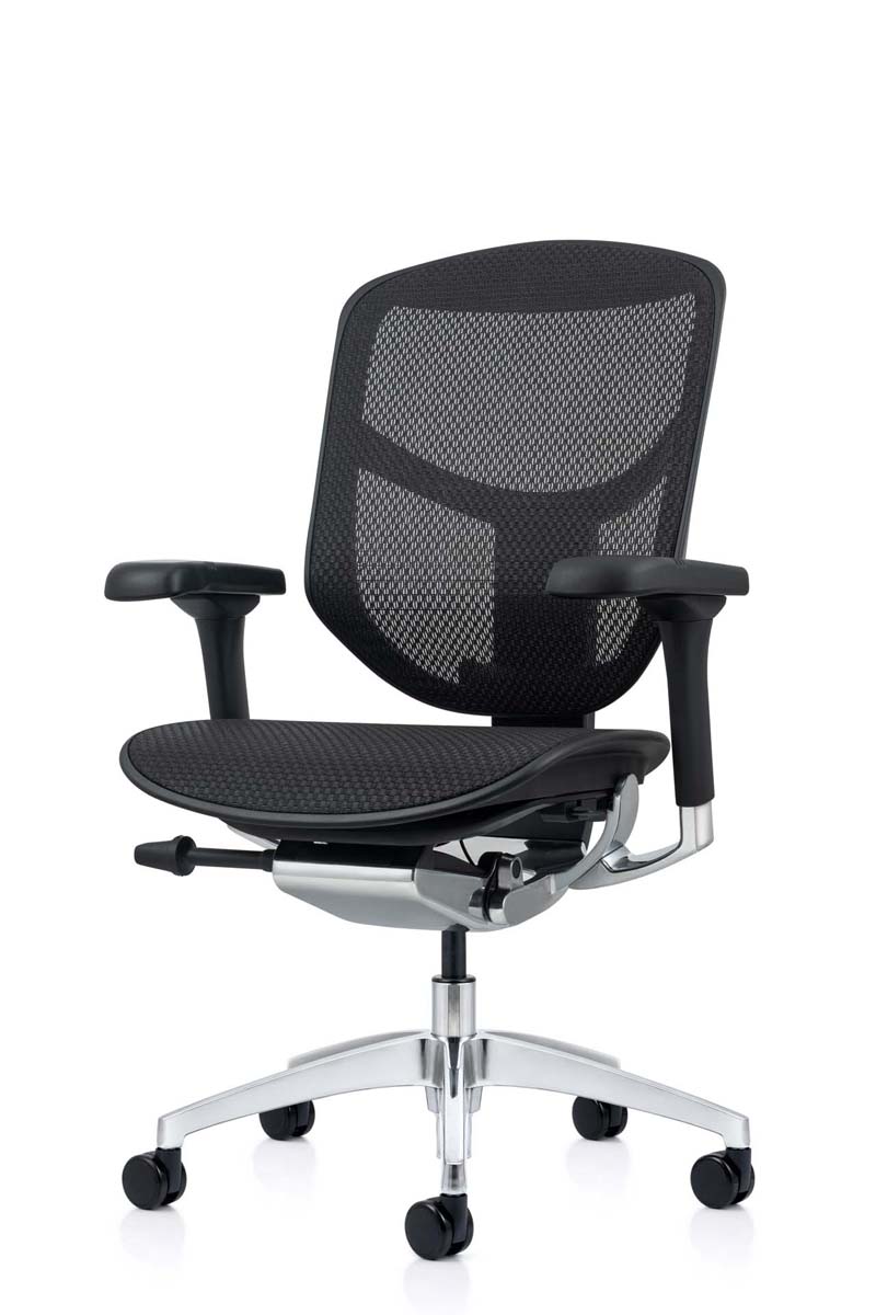 Enjoy Elite 2023 Mesh Ergonomic Chair without Headrest