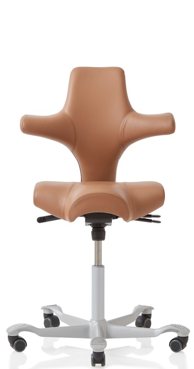 Hag Capisco Ergonomic Office Seating