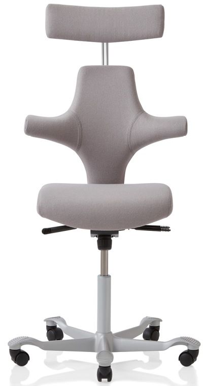 Capisco Ergonomic Chair, Std Seat, Silver Base, 200 Lift with Headrest Grp1