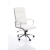 Finish: White