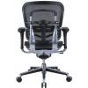 Ergohuman Chair, Low Back, Rear View