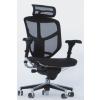 Enjoy 2010 Ergonomic Mesh Desk Chair with Headrest - view 1