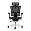 Mirus Elite 2023 Ergonomic Chair Mesh Black Frame with Headrest - view 3