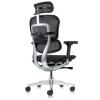 Ergohuman Elite 2023 Mesh Ergonomic Chair with Headrest - view 3