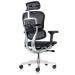 Ergohuman Elite 2023 Mesh Ergonomic Chair with Headrest - view 3