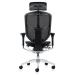Enjoy Elite 2023 Mesh Ergonomic Chair with Headrest - view 5