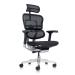 Ergohuman Elite 2023 Mesh Ergonomic Chair with Headrest - view 1
