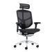 Enjoy Elite 2023 Mesh Ergonomic Chair with Headrest - view 1