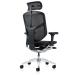 Enjoy Elite 2023 Mesh Ergonomic Chair with Headrest - view 4