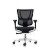 Mirus Elite 2023 Ergonomic Chair Mesh Black Frame no H/rest - view 2