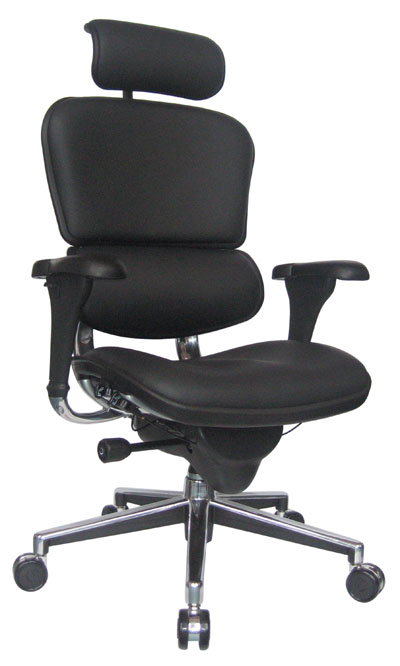 Leather Ergohuman Chair